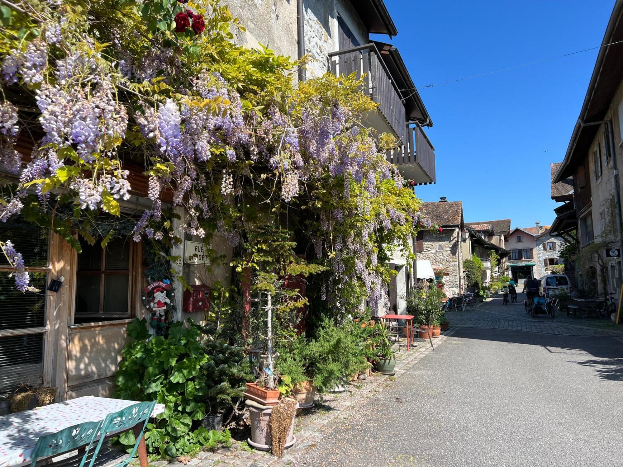 Apartment A 10 Metres De La !